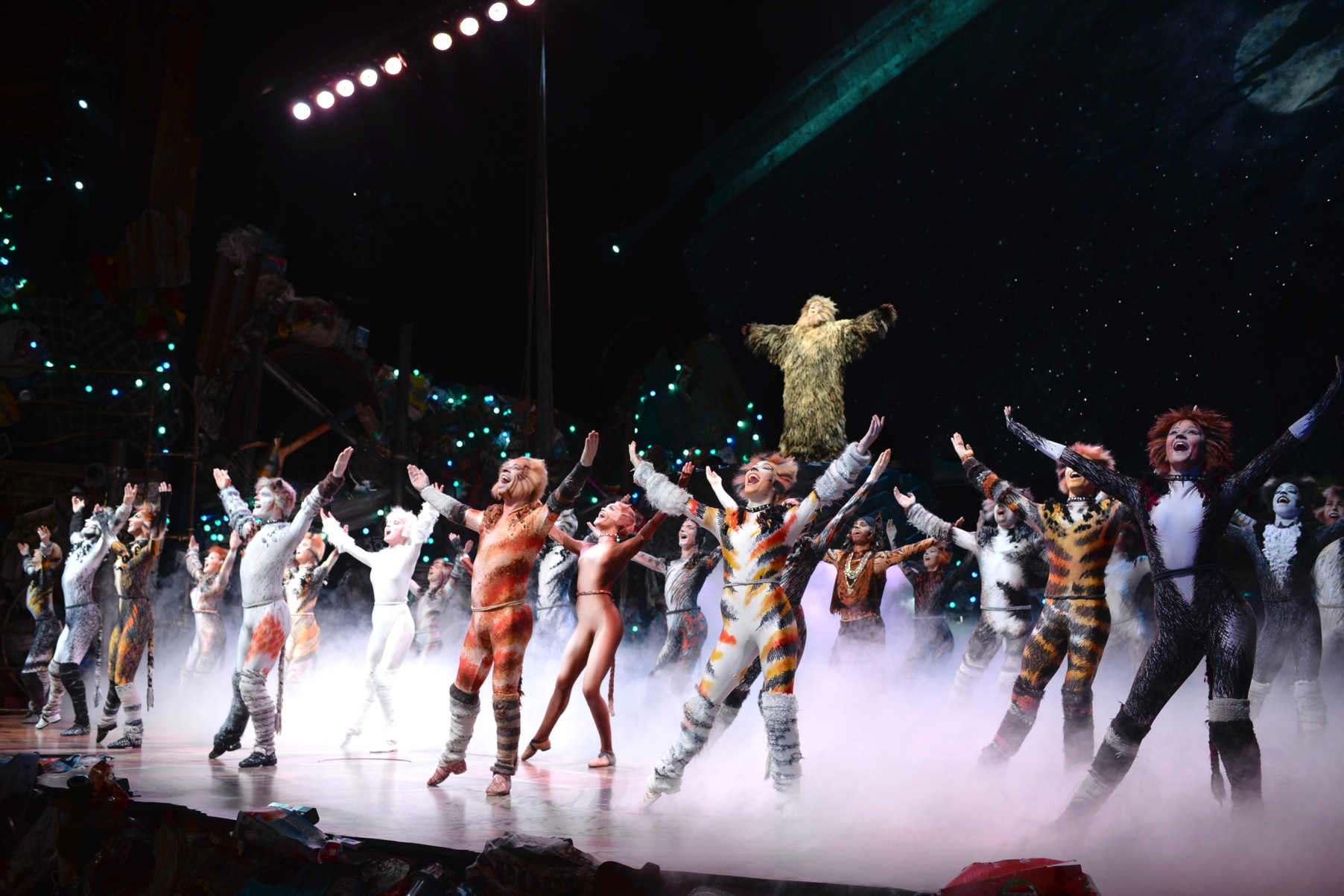 Out Of Cats Audience Tickets Out Of Cats Audience Tickets