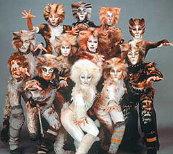 CATS TO TOUR BRISBANE