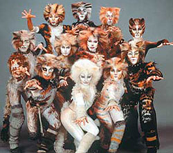 MEOW... CATS IS AUDITIONING
