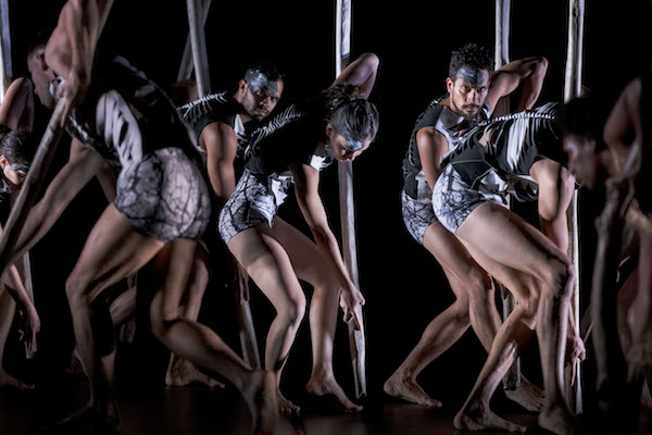 Bangarra Dance Theatre's 'Lore'. Photo Jeff Tan