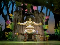 SHREK THE MUSICAL (c) Helen Maybanks