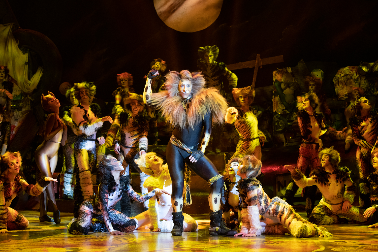 Cats Returns to its Original Australian Home After 40 Years Dance Life